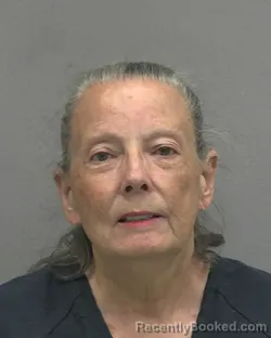 Mugshot of DIANE WARFIELD booked in Alachua County, Florida on July 19, 2026