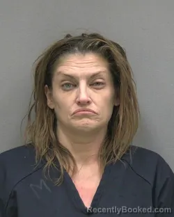 Mugshot of MEGAN JEAN WINN booked in Alachua County, Florida on May 28, 2026