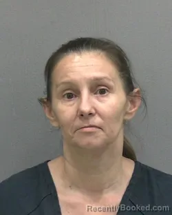 Mugshot of TAMMY LYNN DAMPIER booked in Alachua County, Florida on June 3, 2026