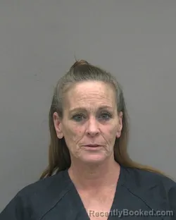 Mugshot of Sheila Ann Symonds booked in Alachua County, Florida on October 13, 2026