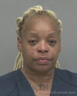 Mugshot of Chunita Latoya Green booked in Alachua County, Florida on August 27, 2026