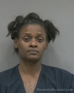 Mugshot of CANVAS LASHES MORRIS