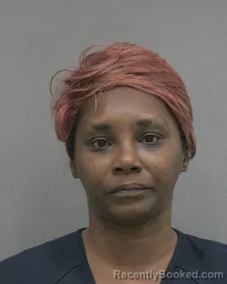 Mugshot of DENATALIE LANETTE JOHNSON