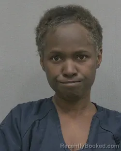 Mugshot of Angie Lee Stokes booked in Alachua County, Florida on August 7, 2026