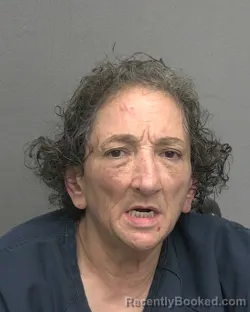 Mugshot of ANITA S TORRES booked in Alachua County, Florida on March 25, 2026