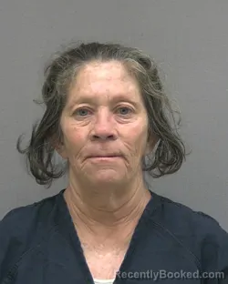 Mugshot of RAMONA LYNN SEAY booked in Alachua County, Florida on March 19, 2026