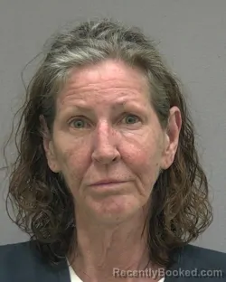 Mugshot of MELISSA LUCINDA DIAZ