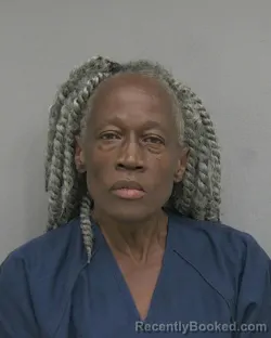 Mugshot of WANDA VANDER ELLIS booked in Alachua County, Florida on May 30, 2026