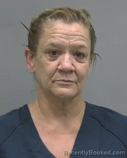 Mugshot of STACY LYNN TUSSINGER booked in Alachua County, Florida on July 11, 2026