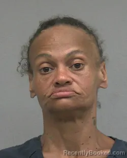 Mugshot of UNADREEN JONES JAMERSON booked in Alachua County, Florida on June 29, 2026