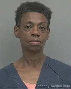 Mugshot of CECELIA VANISE KRIECHBAUM booked in Alachua County, Florida on July 26, 2026