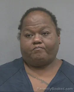 Mugshot of Ivy Nicole Wilcox booked in Alachua County, Florida on October 14, 2026