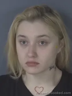 Mugshot of ALEXIS BROOKS