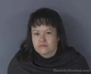 Mugshot of AMANDA DARLEEN FOX booked in Clay County, Florida on June 12, 2026