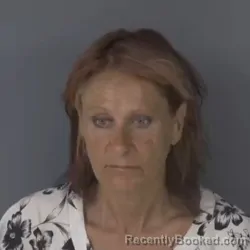 Mugshot of Anna Marie Francis booked in Clay County, Florida on July 31, 2026