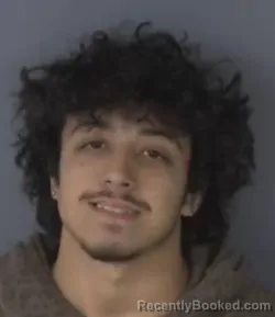 Mugshot of ANTONIO LICARI