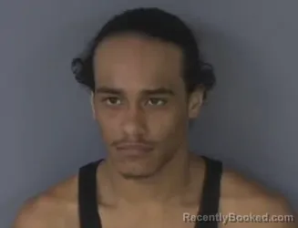 Mugshot of ADONIS- ELIJAH PEARSON-ALVAREZ