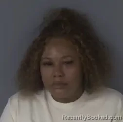 Mugshot of Annie Lasha Richardson booked in Clay County, Florida on August 4, 2026