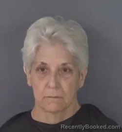 Mugshot of CYNTHIA ANN TYRRELL booked in Clay County, Florida on July 25, 2026