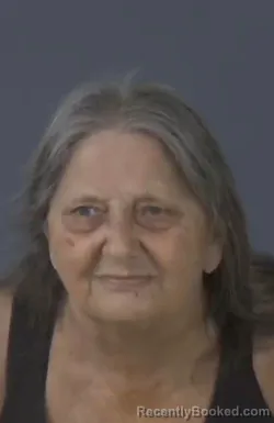 Mugshot of Debra White Mullins booked in Clay County, Florida on August 7, 2026