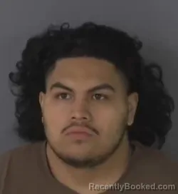 Mugshot of EDUARDO MEJIA