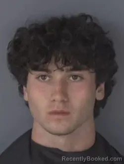 Mugshot of GAVIN ROBINSON