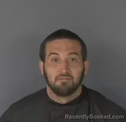 Mugshot of JAMES FERGUSON