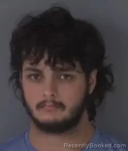 Mugshot of JOHN GRINER