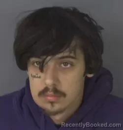 Mugshot of JESSE JAMES