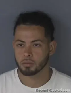 Mugshot of JOHN MEIRA