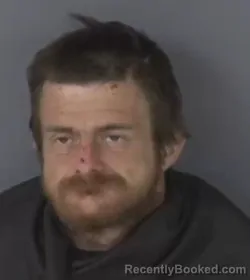 Mugshot of JASON MCKINNEY
