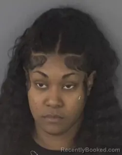 Mugshot of JANELLE SMITH