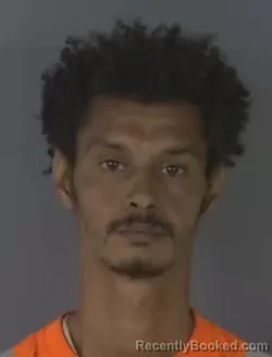 Mugshot of JEFFREY SNOW