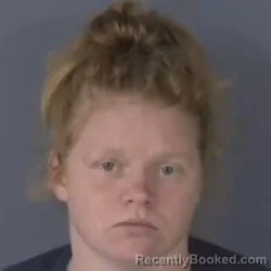 Mugshot of JAMIE WILKES