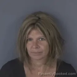 Mugshot of Joyce Ann Wells booked in Clay County, Florida on September 26, 2026