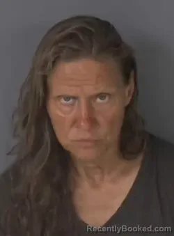 Mugshot of KRISTINE DOMANIEWSKI booked in Clay County, Florida on July 26, 2026
