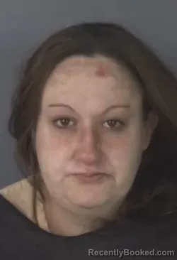 Booking photo from Clay County, Florida