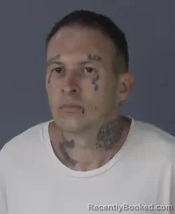 Booking photo from Clay County, Florida