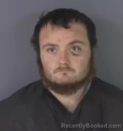 Mugshot of LARRY BURKE