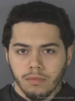 Mugshot of LUIS CASTANEDA