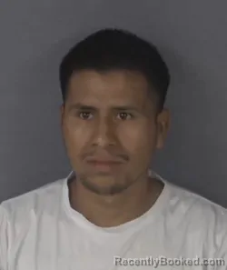 Mugshot of LUIS CHALES PEREZ