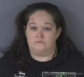 Mugshot of LISA FARRAR