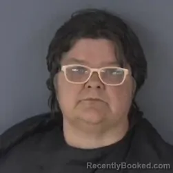 Mugshot of LISA TIMS booked in Clay County, Florida on April 8, 2026