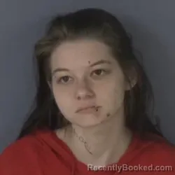 Mugshot of MARLANA ADKINS