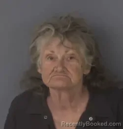Mugshot of MARIE LOUSIE CLAPP booked in Clay County, Florida on May 20, 2026