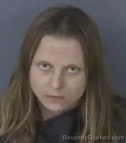 Mugshot of MICHELLE HANSEN