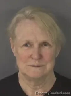 Mugshot of MARYANNE HARDISH booked in Clay County, Florida on April 26, 2026