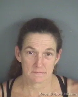 Mugshot of MICHELLE MULLINS
