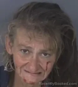 Booking photo from Clay County, Florida