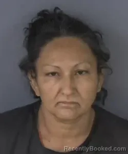 Booking photo from Clay County, Florida